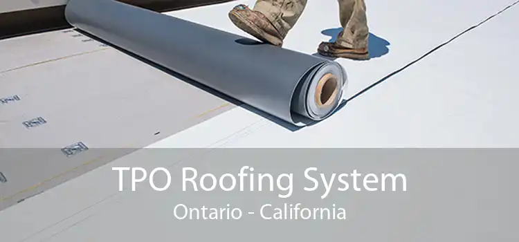 TPO Roofing System Ontario - California